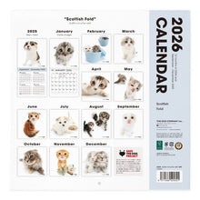 将图像阅读到画廊视图中, THE CAT 2026年カレンダー 大判サイズ (スコティッシュ・フォールド)