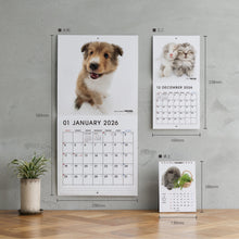 画像をギャラリービューアに読み込む, THE DOG 2026年カレンダー ミニサイズ(チワワ)