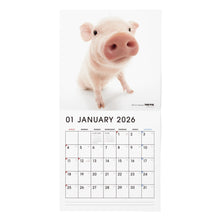 画像をギャラリービューアに読み込む, THE PIG 2026年カレンダー 大判サイズ