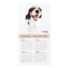 画像をギャラリービューアに読み込む, THE DOG 2026年カレンダー ミニサイズ(キャバリア・キング・チャールズ・スパニエル)