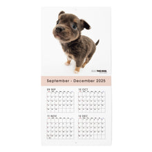 画像をギャラリービューアに読み込む, THE DOG 2026年カレンダー ミニサイズ(チワワ)