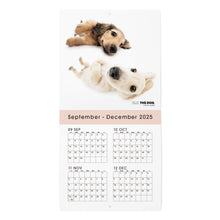 画像をギャラリービューアに読み込む, THE DOG 2026年カレンダー ミニサイズ(ダックスフンド)