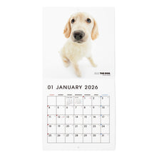 将图像阅读到画廊视图中, THE DOG 2026年カレンダー ミニサイズ(ゴールデン・レトリーバー)