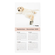 画像をギャラリービューアに読み込む, THE DOG 2026年カレンダー ミニサイズ(ラブラドール・レトリーバー)