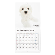 画像をギャラリービューアに読み込む, THE DOG 2026年カレンダー ミニサイズ(マルチーズ)