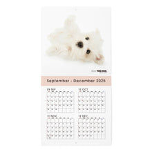 画像をギャラリービューアに読み込む, THE DOG 2026年カレンダー ミニサイズ(マルチーズ)
