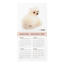 将图像阅读到画廊视图中, THE DOG 2026年カレンダー ミニサイズ(ポメラニアン)