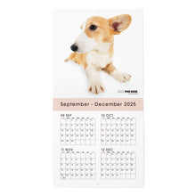 画像をギャラリービューアに読み込む, THE DOG 2026年カレンダー ミニサイズ(ウェルシュ・コーギー)