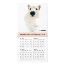 将图像阅读到画廊视图中, THE DOG 2026年カレンダー ミニサイズ(ウエスト・ハイランド・ホワイト・テリア)