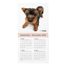 画像をギャラリービューアに読み込む, THE DOG 2026年カレンダー ミニサイズ(ヨークシャー・テリア)