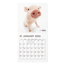 画像をギャラリービューアに読み込む, THE PIG 2026年カレンダー ミニサイズ