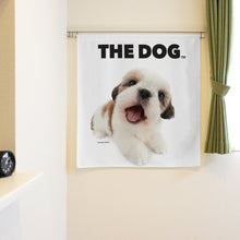 将图像阅读到画廊视图中, Noren 狗 Shih Tzu(长90厘米)