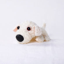 将图像阅读到画廊视图中, 狗毛绒迷你(Bichon Frize)Bichon Frise