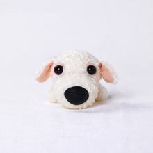将图像阅读到画廊视图中, 狗毛绒迷你(Bichon Frize)Bichon Frise