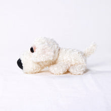 将图像阅读到画廊视图中, 狗毛绒迷你(Bichon Frize)Bichon Frise