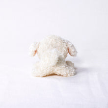 将图像阅读到画廊视图中, 狗毛绒迷你(Bichon Frize)Bichon Frise