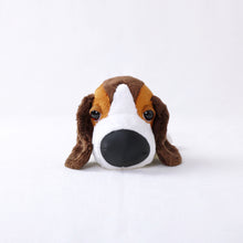 将图像阅读到画廊视图中, 狗毛绒迷你(Basst Hound)贝斯特猎犬