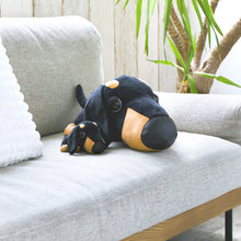 Read the image into the gallery view, THE DOG Plush BIG (Dachshund) Dachshund