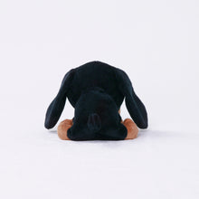 将图像阅读到画廊视图中, 狗毛绒迷你(腊肠犬)腊肠犬