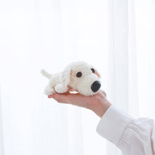 将图像阅读到画廊视图中, 狗毛绒迷你(金毛)金毛猎犬