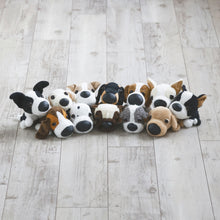 将图像阅读到画廊视图中, 狗毛绒迷你(金毛)金毛猎犬