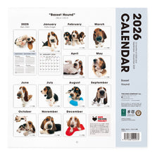 将图像阅读到画廊视图中， THE DOG 2026年カレンダー 大判サイズ（バセット・ハウンド）
