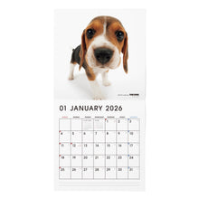 画像をギャラリービューアに読み込む, THE DOG 2026年カレンダー 大判サイズ（ビーグル）

