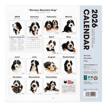 画像をギャラリービューアに読み込む, THE DOG 2026年カレンダー 大判サイズ（バーニーズ・マウンテン・ドッグ）
