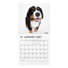 画像をギャラリービューアに読み込む, THE DOG 2027年カレンダー 大判サイズ（バーニーズ・マウンテン・ドッグ）の1月
