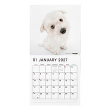 画像をギャラリービューアに読み込む, THE DOG 2027年カレンダー 大判サイズ（ビション・フリーゼ）の1月
