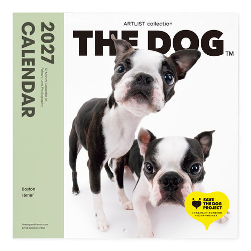 THE DOG 2027年カレンダー 大判サイズ（ボストン・テリア）の表紙