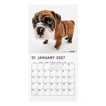 画像をギャラリービューアに読み込む, THE DOG 2027年カレンダー 大判サイズ（ブル・ドッグ）の1月
