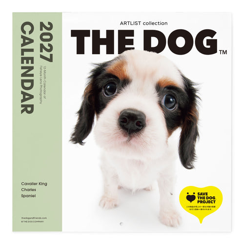 THE DOG 2027年カレンダー 大判サイズ（キャバリア・キング・チャールズ・スパニエル）の表紙