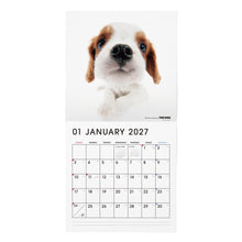 画像をギャラリービューアに読み込む, THE DOG 2027年カレンダー 大判サイズ（キャバリア・キング・チャールズ・スパニエル）の1月
