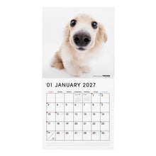 画像をギャラリービューアに読み込む, THE DOG 2027年カレンダー 大判サイズ（ダックスフンド）の1月

