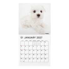 画像をギャラリービューアに読み込む, THE DOG 2027年カレンダー 大判サイズ（マルチーズ）の1月
