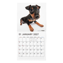 画像をギャラリービューアに読み込む, THE DOG 2027年カレンダー 大判サイズ（ミニチュア・ピンシャー）の1月
