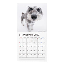 갤러리보기에 이미지를 읽고 THE DOG 2027年カレンダー 大判サイズ（ミニチュア・シュナウザー）の1月
