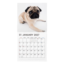 Lea la imagen en la vista de la galería, THE DOG 2027年カレンダー 大判サイズ（パグ）の1月
