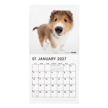 画像をギャラリービューアに読み込む, THE DOG 2027年カレンダー 大判サイズ（シェットランド・シープドッグ）の1月
