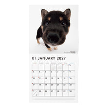갤러리보기에 이미지를 읽고 THE DOG 2027年カレンダー 大判サイズ（柴）の1月
