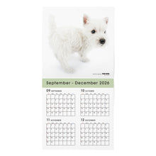 Read the image into the gallery view, THE DOG 2027年カレンダー 大判サイズ（ウエスト・ハイランド・ホワイト・テリア）の2026年部分

