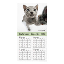 画像をギャラリービューアに読み込む, THE CAT 2027年カレンダー 大判サイズ（ロシアンブルー）の2026年部分
