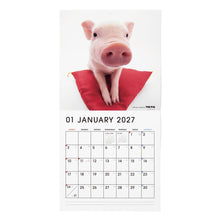 갤러리보기에 이미지를 읽고 THE PIG 2027年カレンダー 大判サイズの1月
