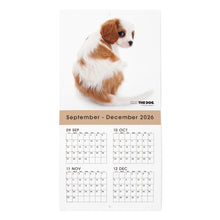 Read the image into the gallery view, THE DOG 2027年カレンダー ミニサイズ（キャバリア・キング・チャールズ・スパニエル）の2026年部分
