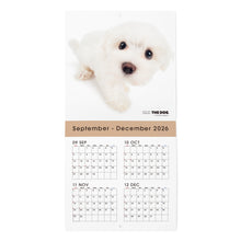 갤러리보기에 이미지를 읽고 THE DOG 2027年カレンダー ミニサイズ（マルチーズ）の2026年部分

