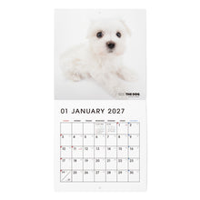 갤러리보기에 이미지를 읽고 THE DOG 2027年カレンダー ミニサイズ（マルチーズ）の1月
