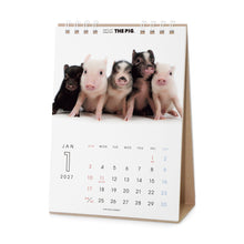 갤러리보기에 이미지를 읽고 THE PIG 2027年カレンダー 卓上サイズの1月
