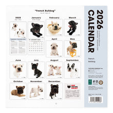 画像をギャラリービューアに読み込む, THE DOG 2026年カレンダー 大判サイズ（フレンチ・ブルドッグ）
