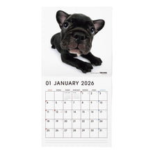 画像をギャラリービューアに読み込む, THE DOG 2026年カレンダー 大判サイズ（フレンチ・ブルドッグ）
